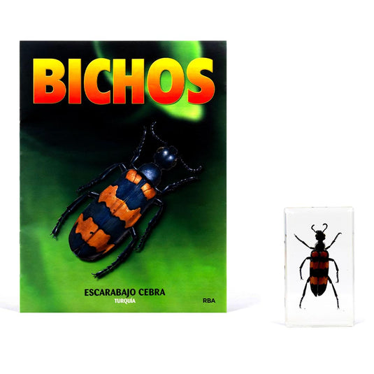 Bichos, Edición #27