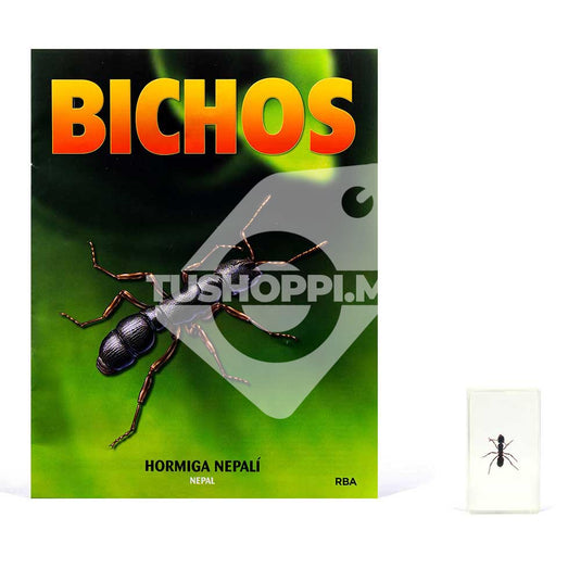 Bichos, Edición #56