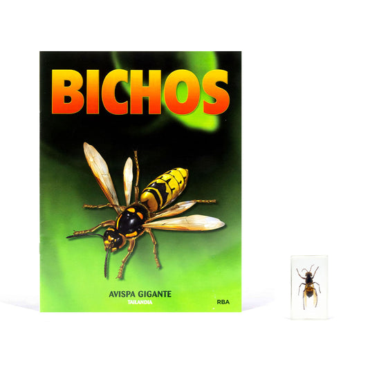 Bichos, Edición #5