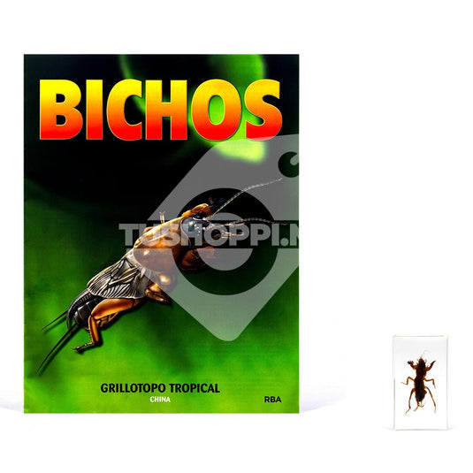 Bichos, Edición #34