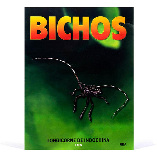 Bichos, Edición #24