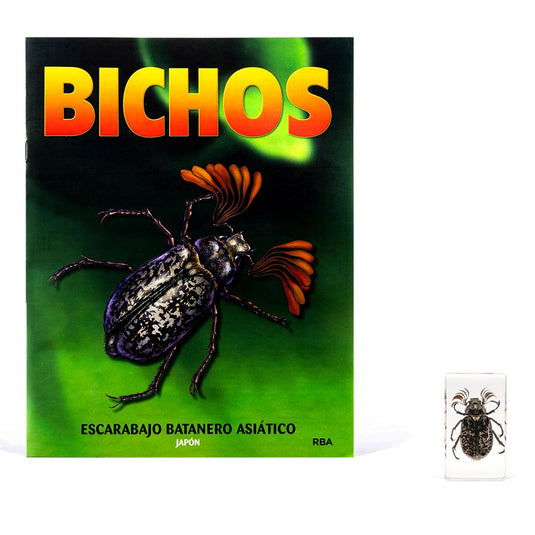 Bichos, Edición #26
