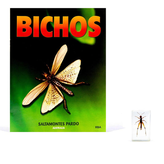 Bichos, Edición #22