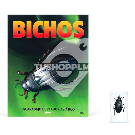 Bichos, Edición #52