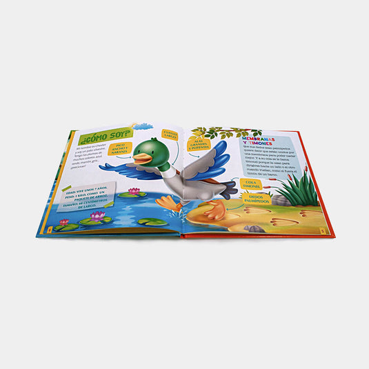 Animales Del Zoo, Edición #69