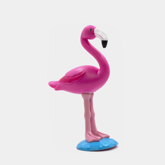 Animales Del Zoo, Edición #68