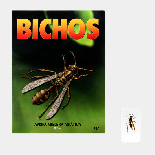 Bichos, Edición #71