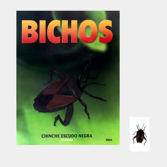Bichos, Edición #79
