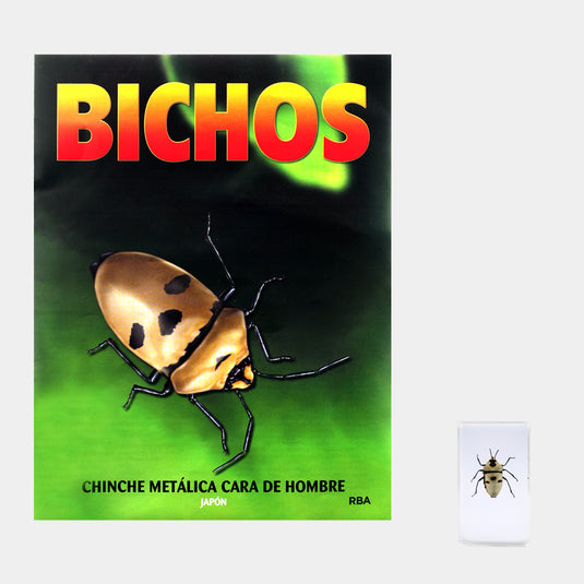 Bichos, Edición #70