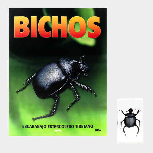 Bichos, Edición #74