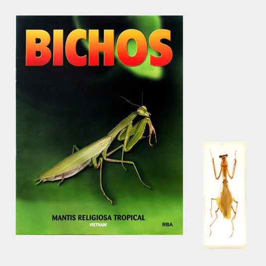 Bichos, Edición #85