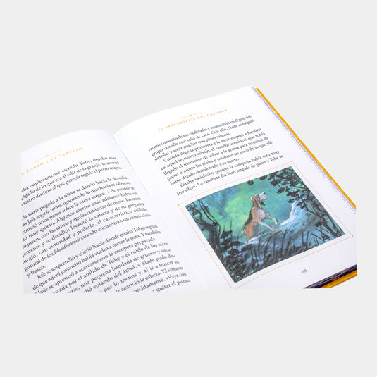 Novelas Inolvidables Disney, Edición #50