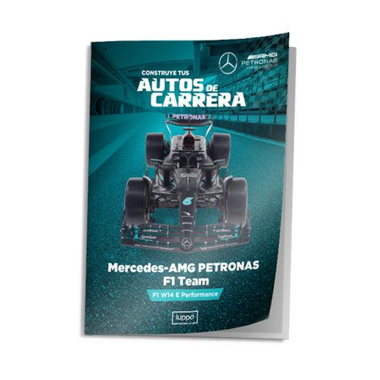 Autos de carrera, Edición #14